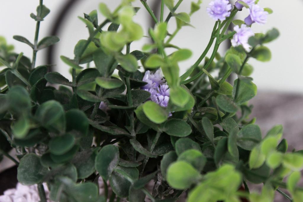 Pousada Do Pinheiro Camburi  Εξωτερικό φωτογραφία